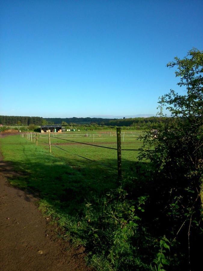 Bed and Breakfast Clumber Lane End Farm Ворксоп Екстер'єр фото