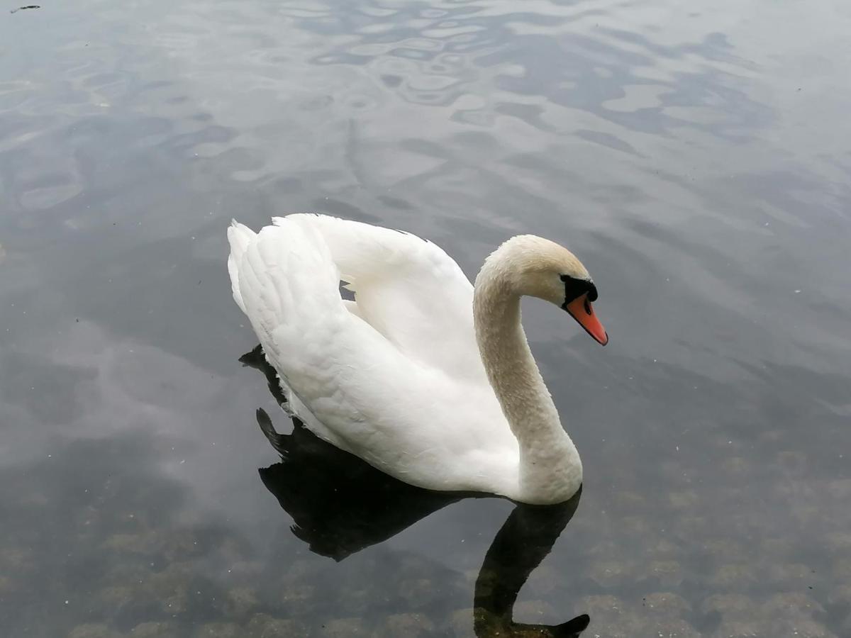 Bed and Breakfast Clumber Lane End Farm Ворксоп Екстер'єр фото